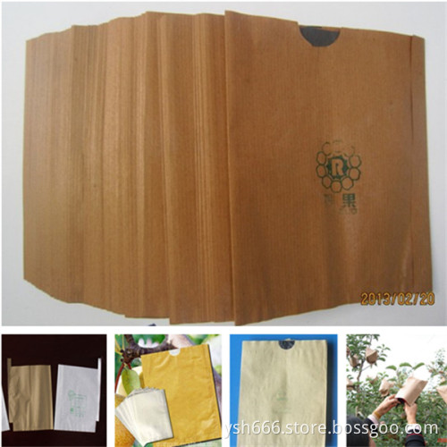 different size with cheap price Fruit growing paper bag